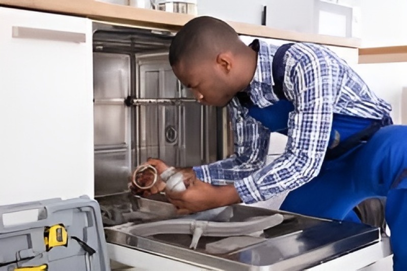 Dishwasher repair in Olympia Heights